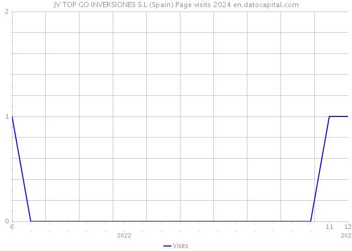 JV TOP GO INVERSIONES S.L (Spain) Page visits 2024 