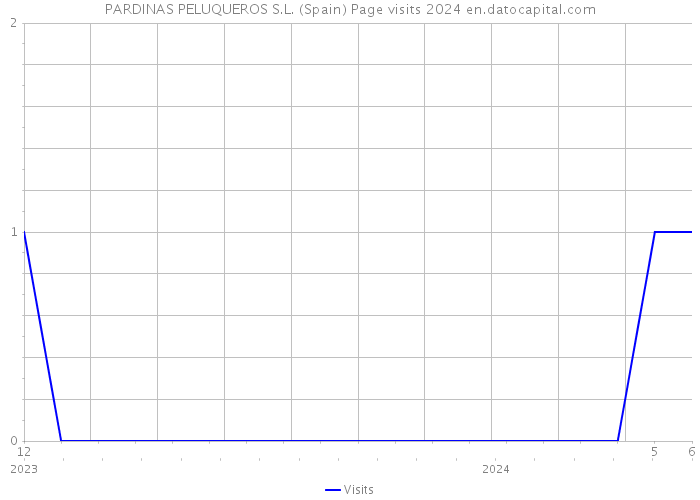 PARDINAS PELUQUEROS S.L. (Spain) Page visits 2024 