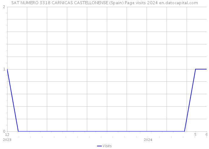 SAT NUMERO 3318 CARNICAS CASTELLONENSE (Spain) Page visits 2024 