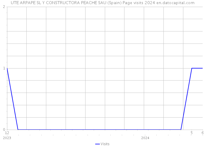 UTE ARPAPE SL Y CONSTRUCTORA PEACHE SAU (Spain) Page visits 2024 