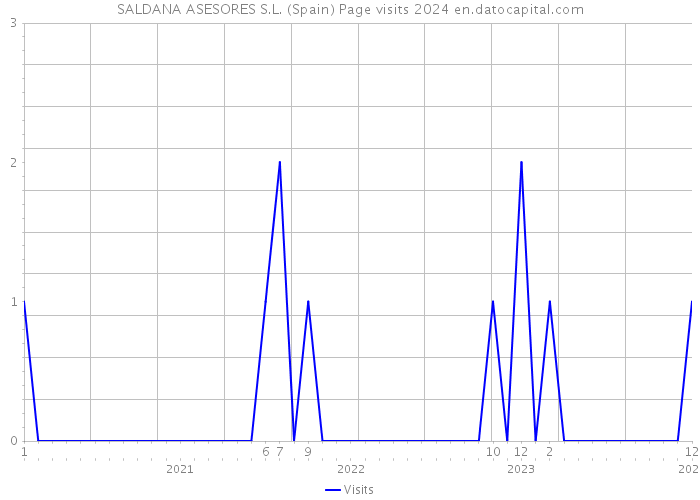 SALDANA ASESORES S.L. (Spain) Page visits 2024 