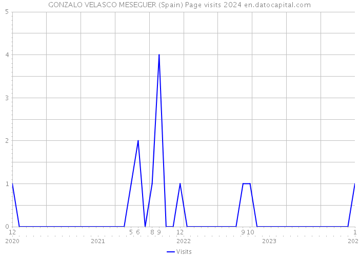 GONZALO VELASCO MESEGUER (Spain) Page visits 2024 