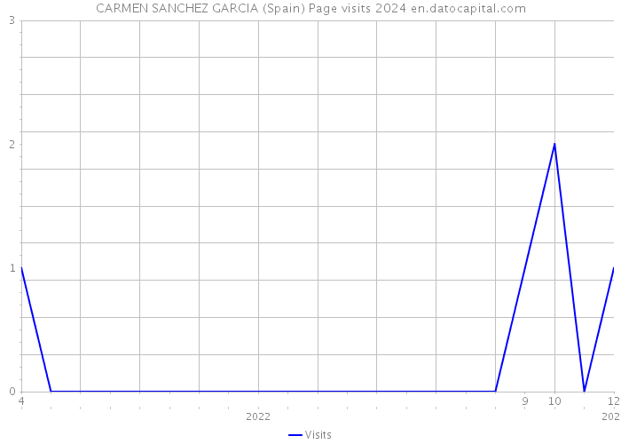 CARMEN SANCHEZ GARCIA (Spain) Page visits 2024 