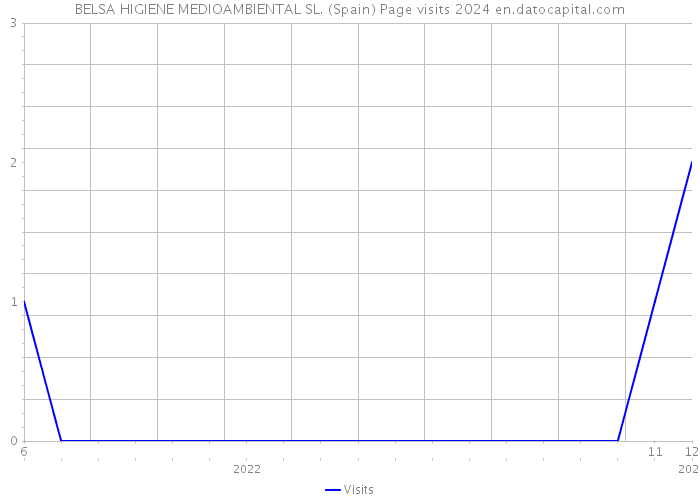 BELSA HIGIENE MEDIOAMBIENTAL SL. (Spain) Page visits 2024 