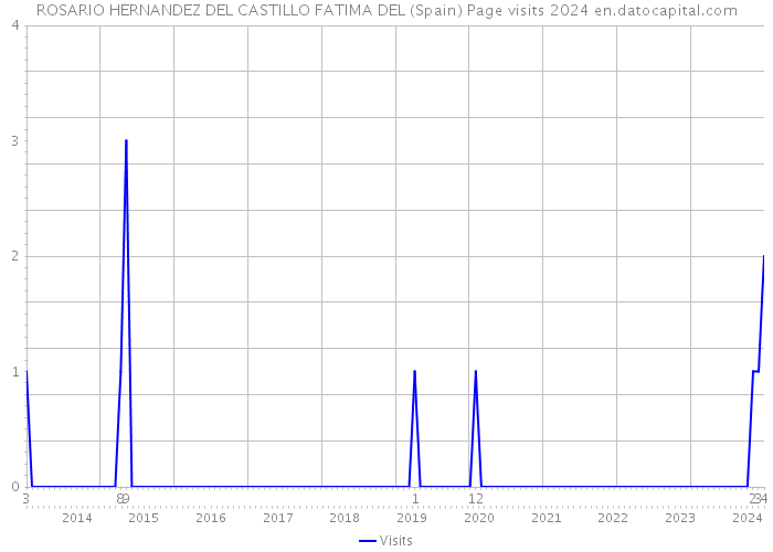 ROSARIO HERNANDEZ DEL CASTILLO FATIMA DEL (Spain) Page visits 2024 