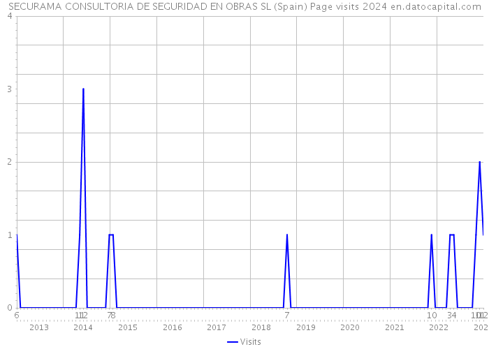SECURAMA CONSULTORIA DE SEGURIDAD EN OBRAS SL (Spain) Page visits 2024 