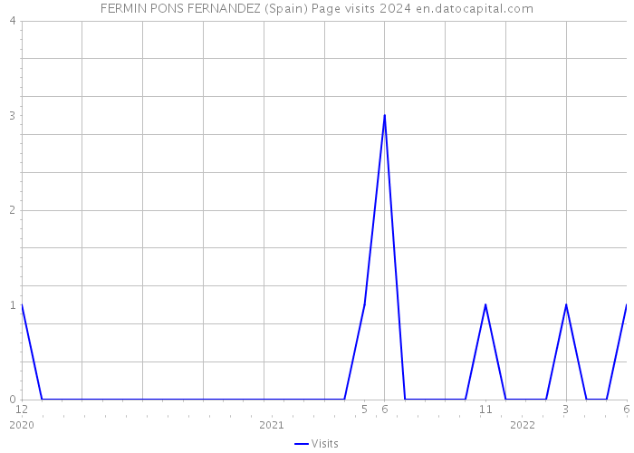 FERMIN PONS FERNANDEZ (Spain) Page visits 2024 