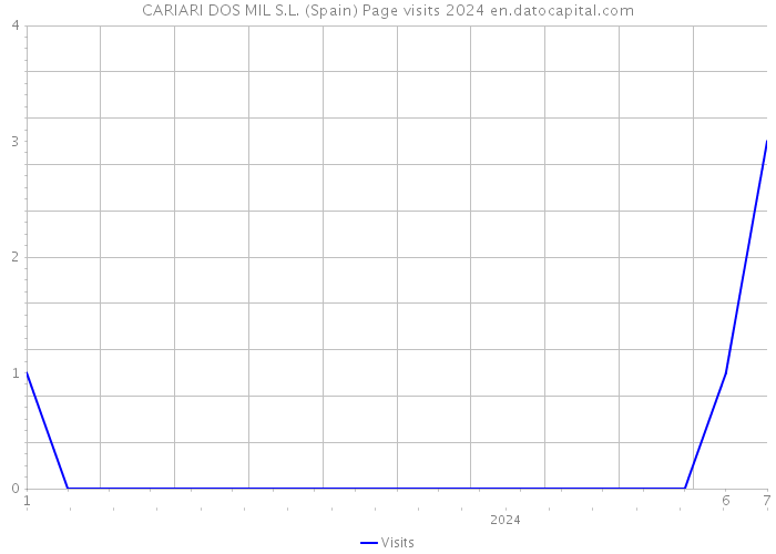 CARIARI DOS MIL S.L. (Spain) Page visits 2024 