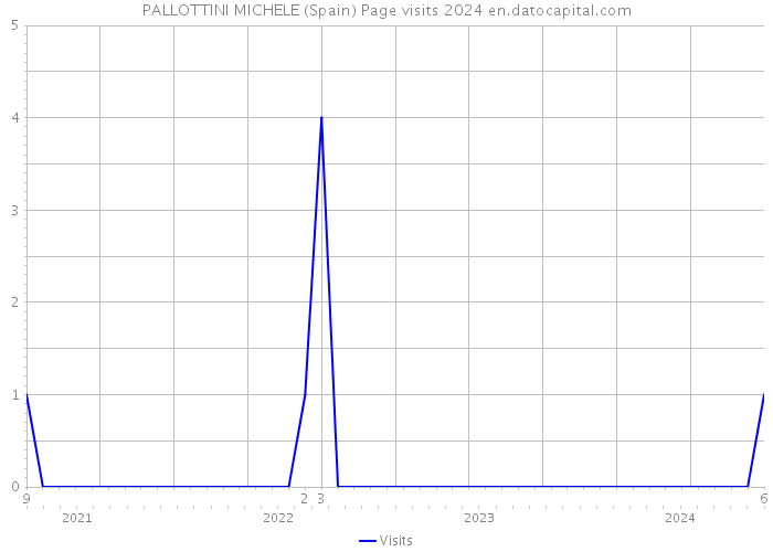 PALLOTTINI MICHELE (Spain) Page visits 2024 