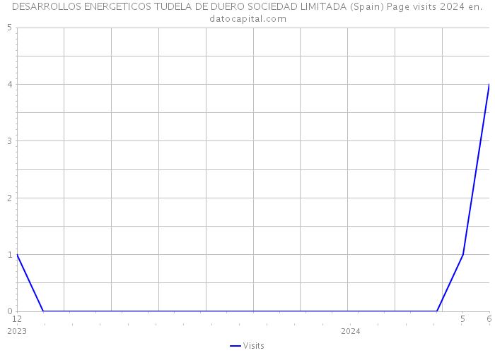 DESARROLLOS ENERGETICOS TUDELA DE DUERO SOCIEDAD LIMITADA (Spain) Page visits 2024 