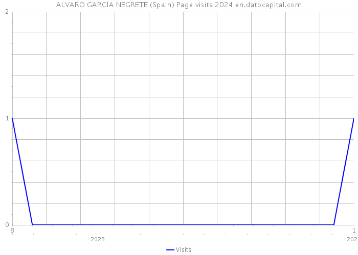 ALVARO GARCIA NEGRETE (Spain) Page visits 2024 