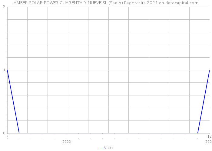 AMBER SOLAR POWER CUARENTA Y NUEVE SL (Spain) Page visits 2024 