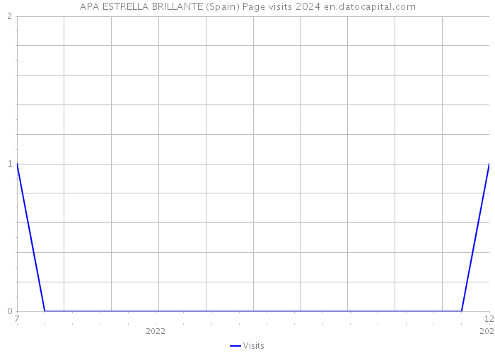 APA ESTRELLA BRILLANTE (Spain) Page visits 2024 