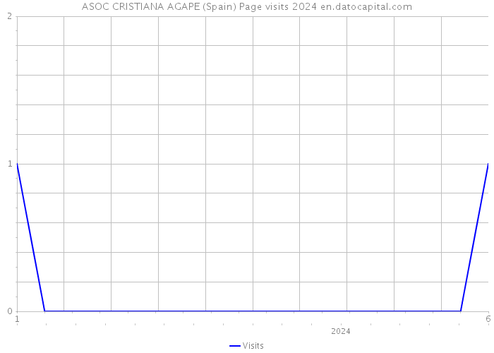 ASOC CRISTIANA AGAPE (Spain) Page visits 2024 