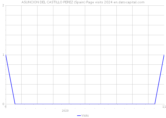 ASUNCION DEL CASTILLO PEREZ (Spain) Page visits 2024 