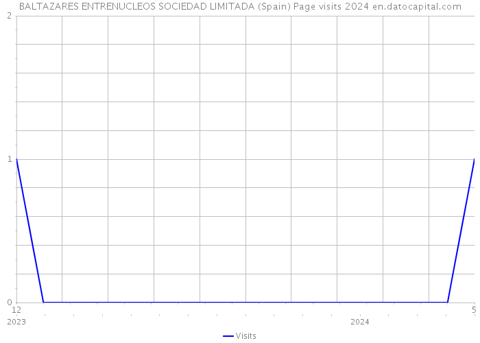 BALTAZARES ENTRENUCLEOS SOCIEDAD LIMITADA (Spain) Page visits 2024 