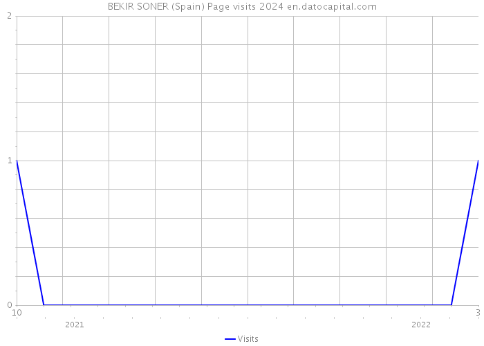BEKIR SONER (Spain) Page visits 2024 