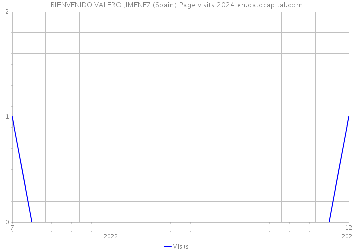 BIENVENIDO VALERO JIMENEZ (Spain) Page visits 2024 
