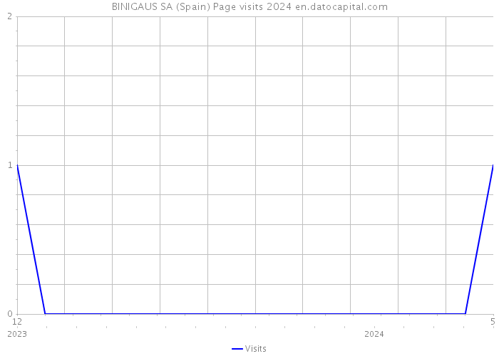 BINIGAUS SA (Spain) Page visits 2024 