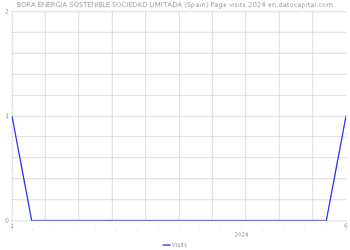 BORA ENERGIA SOSTENIBLE SOCIEDAD LIMITADA (Spain) Page visits 2024 