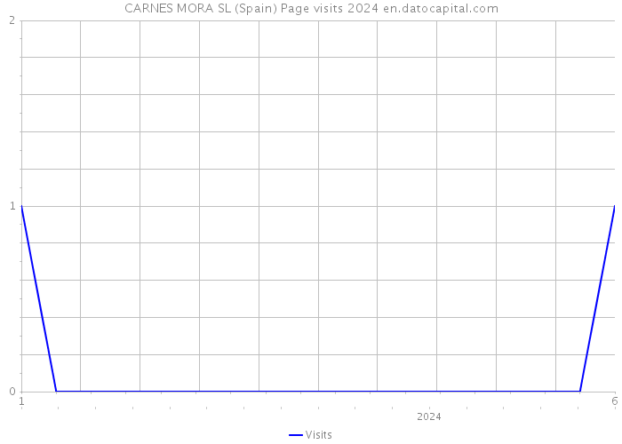 CARNES MORA SL (Spain) Page visits 2024 
