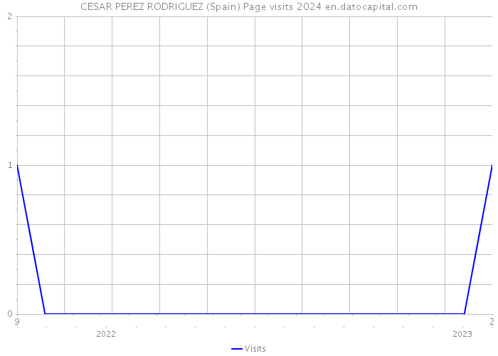 CESAR PEREZ RODRIGUEZ (Spain) Page visits 2024 