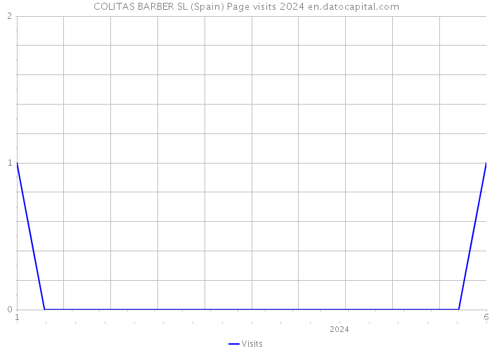 COLITAS BARBER SL (Spain) Page visits 2024 