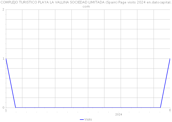 COMPLEJO TURISTICO PLAYA LA VALLINA SOCIEDAD LIMITADA (Spain) Page visits 2024 