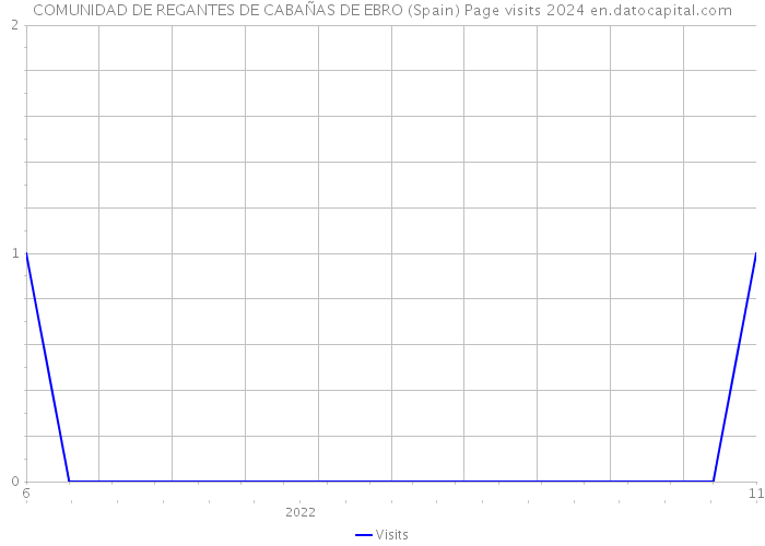 COMUNIDAD DE REGANTES DE CABAÑAS DE EBRO (Spain) Page visits 2024 