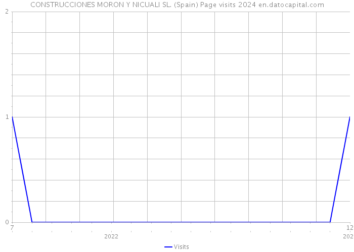 CONSTRUCCIONES MORON Y NICUALI SL. (Spain) Page visits 2024 