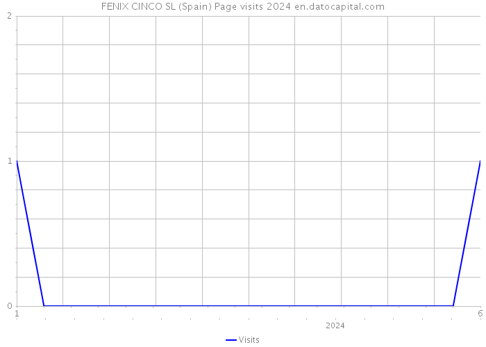 FENIX CINCO SL (Spain) Page visits 2024 