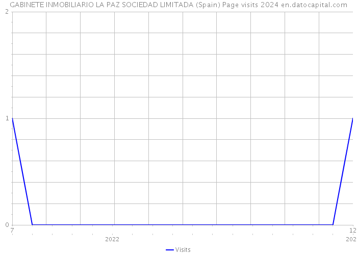 GABINETE INMOBILIARIO LA PAZ SOCIEDAD LIMITADA (Spain) Page visits 2024 
