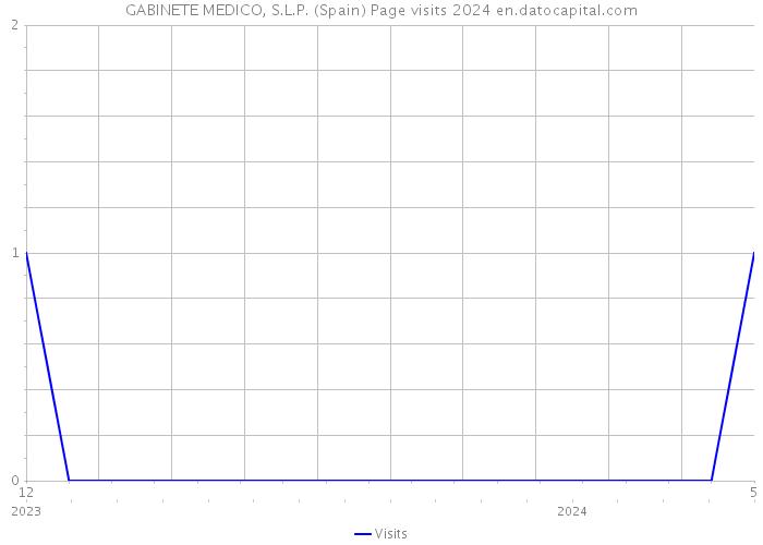 GABINETE MEDICO, S.L.P. (Spain) Page visits 2024 
