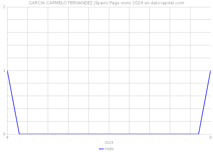 GARCIA CARMELO FERNANDEZ (Spain) Page visits 2024 