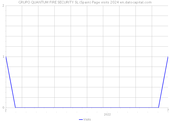 GRUPO QUANTUM FIRE SECURITY SL (Spain) Page visits 2024 