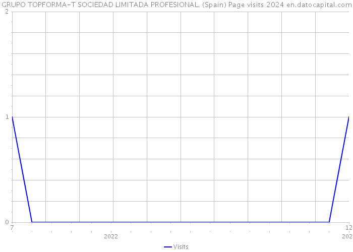 GRUPO TOPFORMA-T SOCIEDAD LIMITADA PROFESIONAL. (Spain) Page visits 2024 