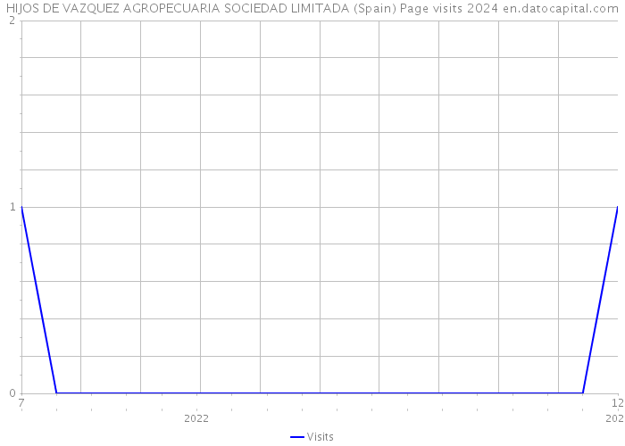 HIJOS DE VAZQUEZ AGROPECUARIA SOCIEDAD LIMITADA (Spain) Page visits 2024 