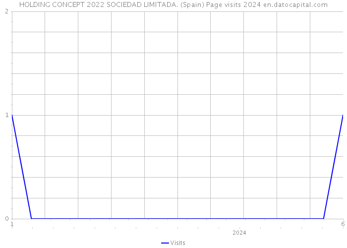 HOLDING CONCEPT 2022 SOCIEDAD LIMITADA. (Spain) Page visits 2024 