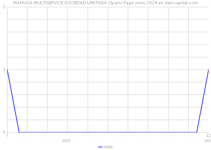 MAMUGA MULTISERVICE SOCIEDAD LIMITADA (Spain) Page visits 2024 