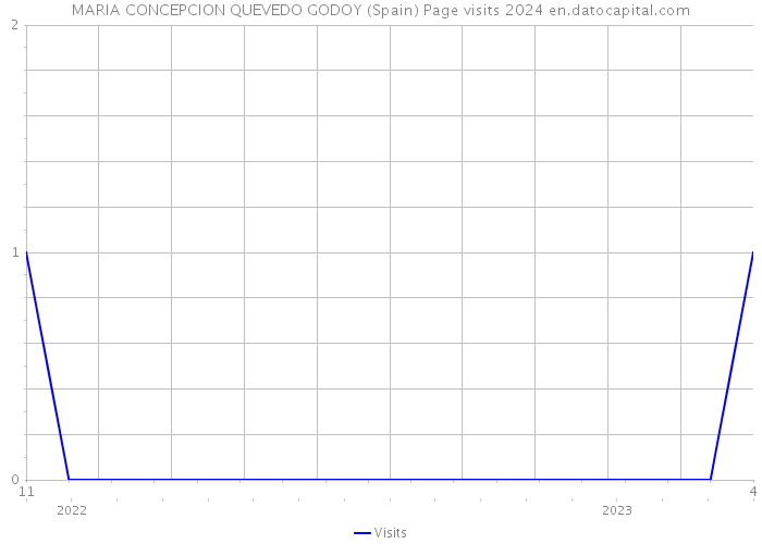MARIA CONCEPCION QUEVEDO GODOY (Spain) Page visits 2024 