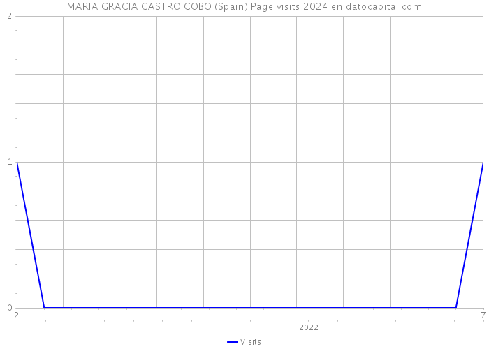 MARIA GRACIA CASTRO COBO (Spain) Page visits 2024 