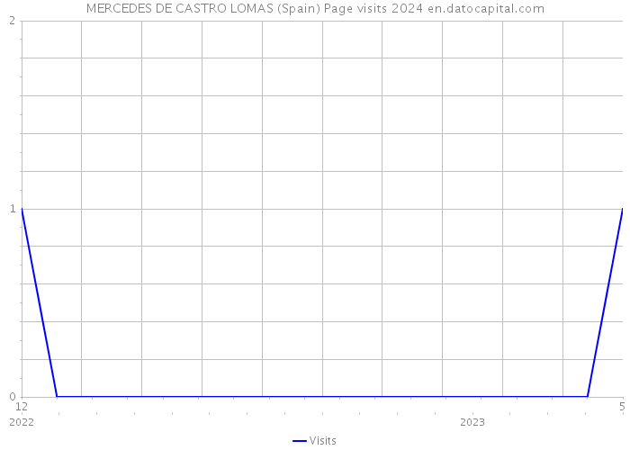 MERCEDES DE CASTRO LOMAS (Spain) Page visits 2024 