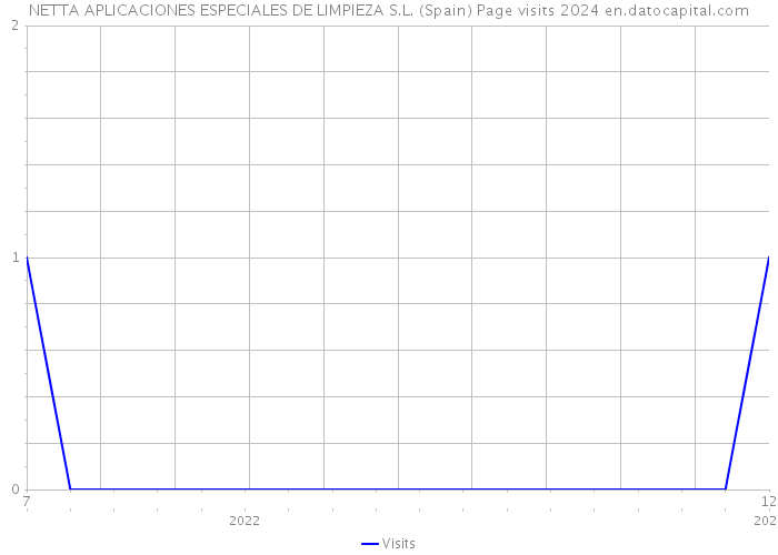 NETTA APLICACIONES ESPECIALES DE LIMPIEZA S.L. (Spain) Page visits 2024 