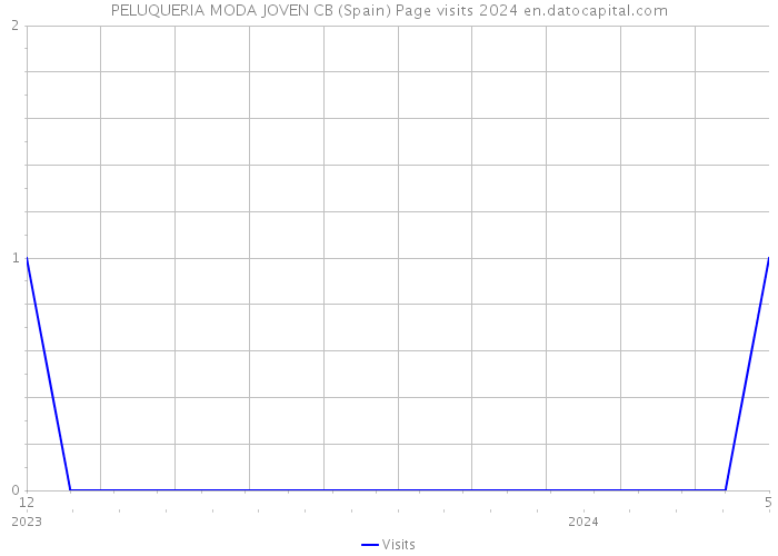 PELUQUERIA MODA JOVEN CB (Spain) Page visits 2024 