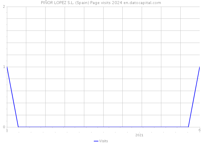 PIÑOR LOPEZ S.L. (Spain) Page visits 2024 