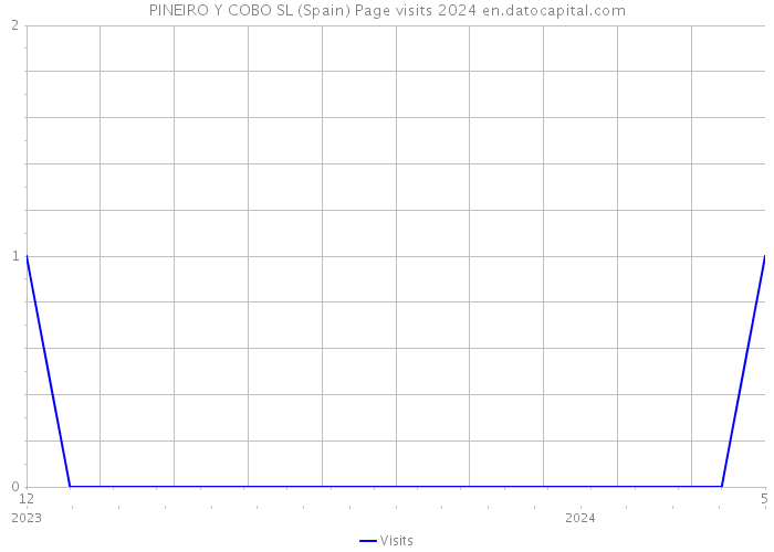 PINEIRO Y COBO SL (Spain) Page visits 2024 