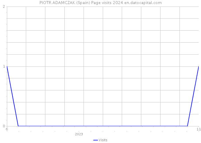 PIOTR ADAMCZAK (Spain) Page visits 2024 