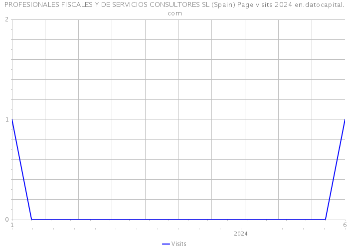 PROFESIONALES FISCALES Y DE SERVICIOS CONSULTORES SL (Spain) Page visits 2024 