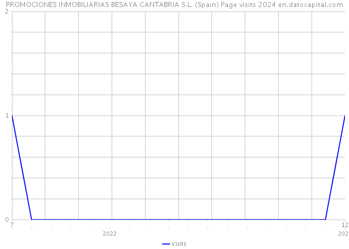 PROMOCIONES INMOBILIARIAS BESAYA CANTABRIA S.L. (Spain) Page visits 2024 