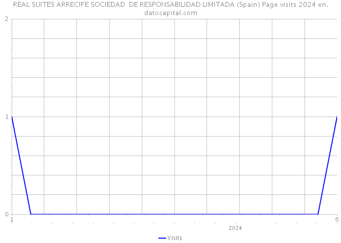 REAL SUITES ARRECIFE SOCIEDAD DE RESPONSABILIDAD LIMITADA (Spain) Page visits 2024 